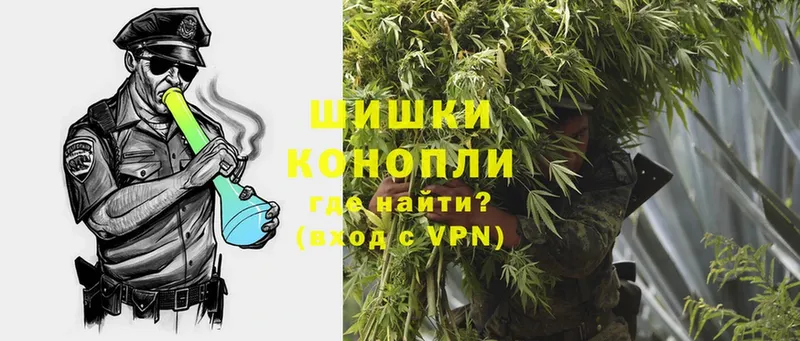 как найти наркотики  Опочка  Бошки Шишки Ganja 